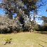  Land for sale in General Pueyrredon, Buenos Aires, General Pueyrredon