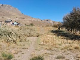  Land for sale in Neuquen, Lacar, Neuquen