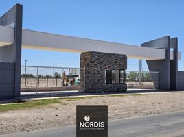  Land for sale in Maipu, Mendoza, Maipu