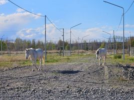  Terreno (Parcela) en venta en Confluencia, Neuquen, Confluencia