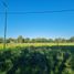  Land for sale in La Plata, Buenos Aires, La Plata