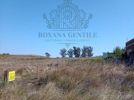  Land for sale in Tandil, Buenos Aires, Tandil