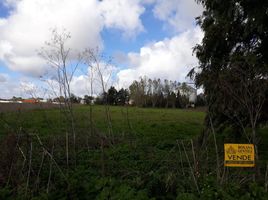  Land for sale in Tandil, Buenos Aires, Tandil