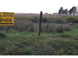  Land for sale in Tandil, Buenos Aires, Tandil