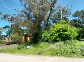  Land for sale in General Pueyrredon, Buenos Aires, General Pueyrredon