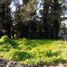  Land for sale in General Pueyrredon, Buenos Aires, General Pueyrredon