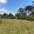  Land for sale in General Pueyrredon, Buenos Aires, General Pueyrredon