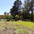  Land for sale in General Pueyrredon, Buenos Aires, General Pueyrredon