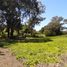  Land for sale in General Pueyrredon, Buenos Aires, General Pueyrredon