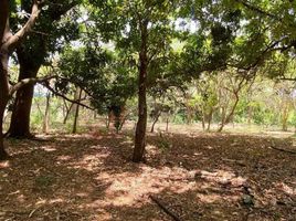  Terreno (Parcela) en venta en Tuxtla Gutierrez, Chiapas, Tuxtla Gutierrez, Chiapas