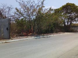  Grundstück zu verkaufen in Tuxtla Gutierrez, Chiapas, Tuxtla Gutierrez