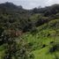  Terreno (Parcela) en venta en San Fernando, Chiapas, San Fernando
