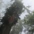 Terreno (Parcela) en venta en San Fernando, Chiapas, San Fernando