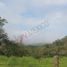  Land for sale in San Fernando, Chiapas, San Fernando