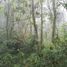  Land for sale in San Fernando, Chiapas, San Fernando