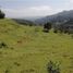  Land for sale in San Fernando, Chiapas, San Fernando