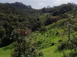  Land for sale in San Fernando, Chiapas, San Fernando
