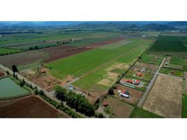  Land for sale in Yerbas Buenas, Linares, Yerbas Buenas