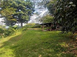  Land for sale in Manizales, Caldas, Manizales