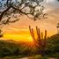  Grundstück zu verkaufen in La Paz, Baja California Sur, La Paz