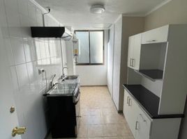 3 Habitación Apartamento en venta en Puente Alto, Cordillera, Puente Alto