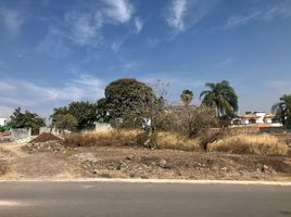  토지을(를) Atlatlahucan, 모렐 로스에서 판매합니다., Atlatlahucan