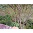 3 Bedroom House for sale in Cali, Valle Del Cauca, Cali