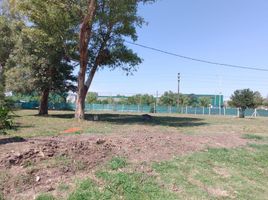  Grundstück zu verkaufen in Moreno, Buenos Aires, Moreno