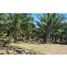 Studio Villa for sale in David, Chiriqui, Cochea