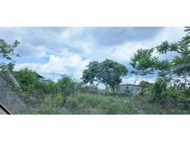  Land for sale in Chiriqui, La Concepcion, Bugaba, Chiriqui