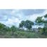  Land for sale in La Concepcion, Chiriqui, La Concepcion, Bugaba