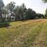  Terreno (Parcela) en venta en San Miguel Xoxtla, Puebla, San Miguel Xoxtla