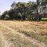  Terreno (Parcela) en venta en San Miguel Xoxtla, Puebla, San Miguel Xoxtla