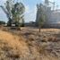  Terreno (Parcela) en venta en Salamanca, Guanajuato, Salamanca
