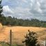  Grundstück zu verkaufen in Rionegro, Antioquia, Rionegro, Antioquia