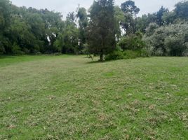  Land for sale in Ruminahui, Pichincha, Sangolqui, Ruminahui