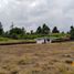  Land for rent in Rionegro, Antioquia, Rionegro, Antioquia