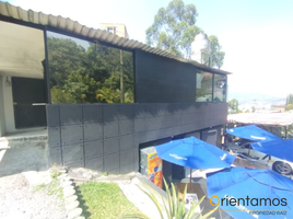 50 SqM Office for rent in Antioquia, Envigado, Antioquia