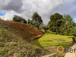 Terrain à vendre à Rionegro, Antioquia, Rionegro