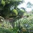  Land for sale in Rionegro, Antioquia, Rionegro