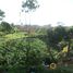  Land for sale in Rionegro, Antioquia, Rionegro