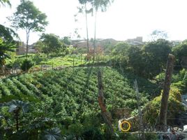  Land for sale in Rionegro, Antioquia, Rionegro