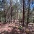  Land for sale in Rionegro, Antioquia, Rionegro