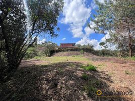  Land for sale in Rionegro, Antioquia, Rionegro