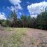  Land for sale in Rionegro, Antioquia, Rionegro