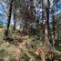  Land for sale in Rionegro, Antioquia, Rionegro