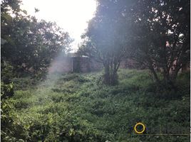  Land for sale in Rionegro, Antioquia, Rionegro