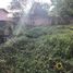  Land for sale in Rionegro, Antioquia, Rionegro