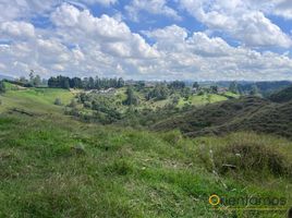 Terrain à vendre à Rionegro, Antioquia, Rionegro, Antioquia