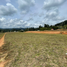  Land for sale in Guarne, Antioquia, Guarne